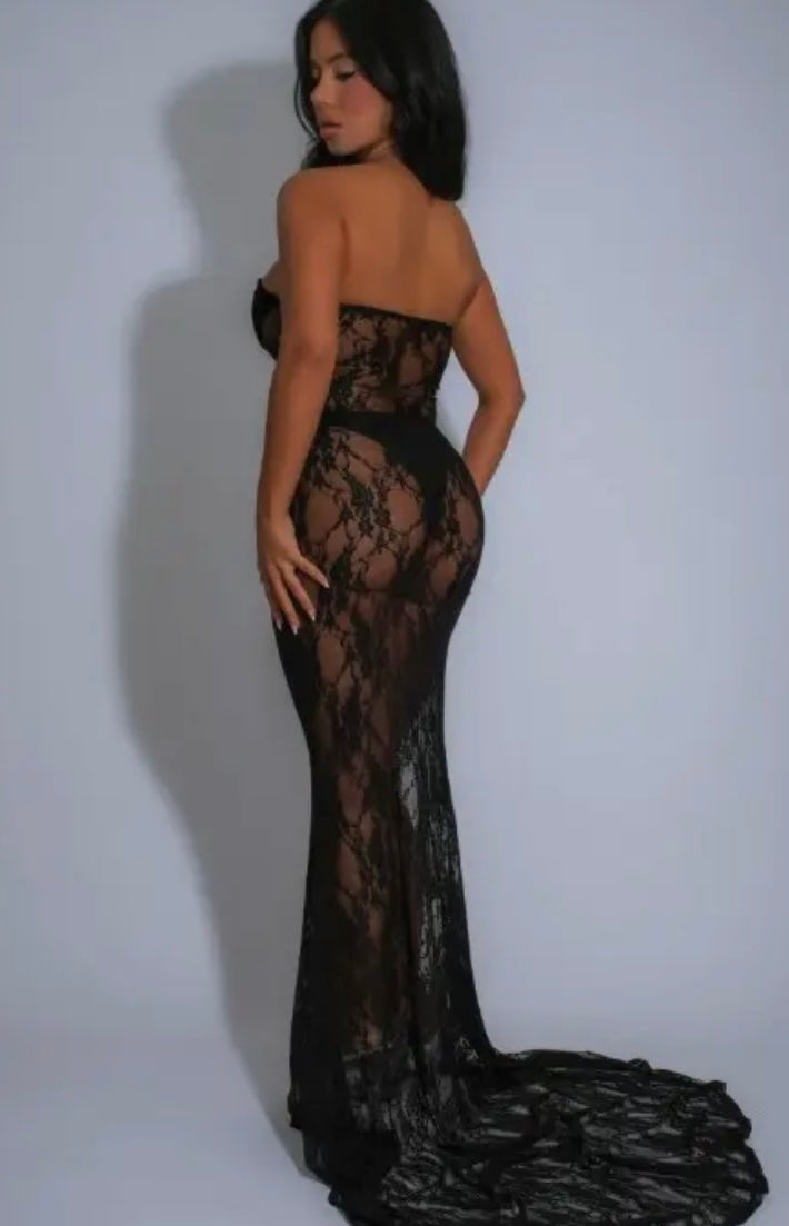 Elegance In Sheer Lace Dress