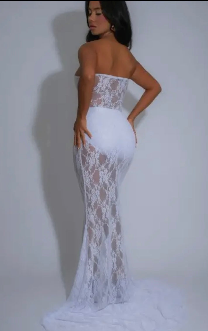 Elegance In Sheer Lace Dress