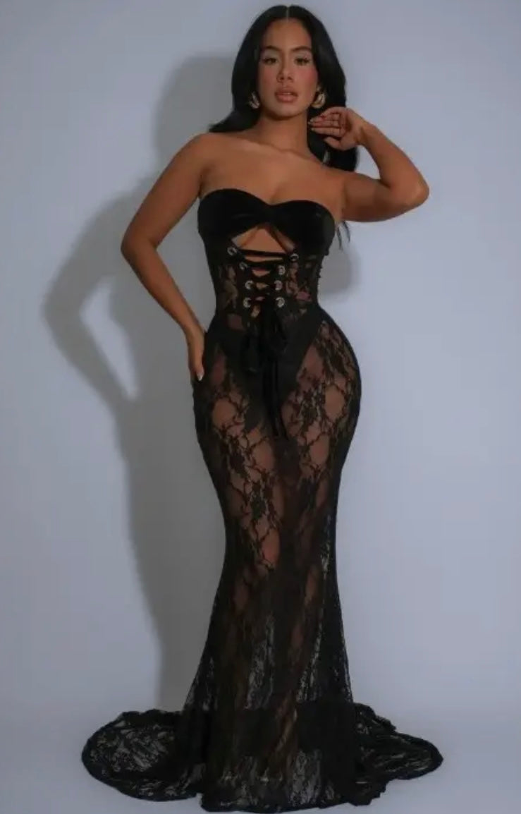 Elegance In Sheer Lace Dress